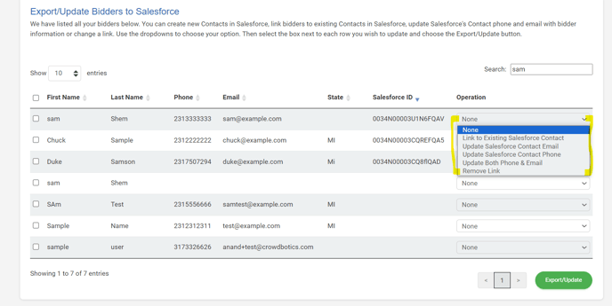 salesforce update bidder