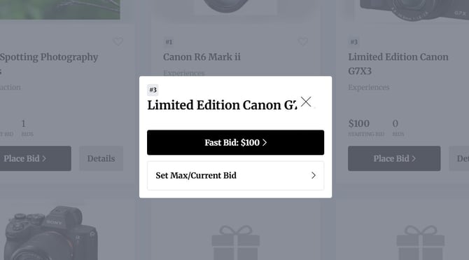 set max bid